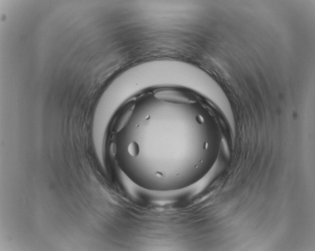 X0000089700364200706211324