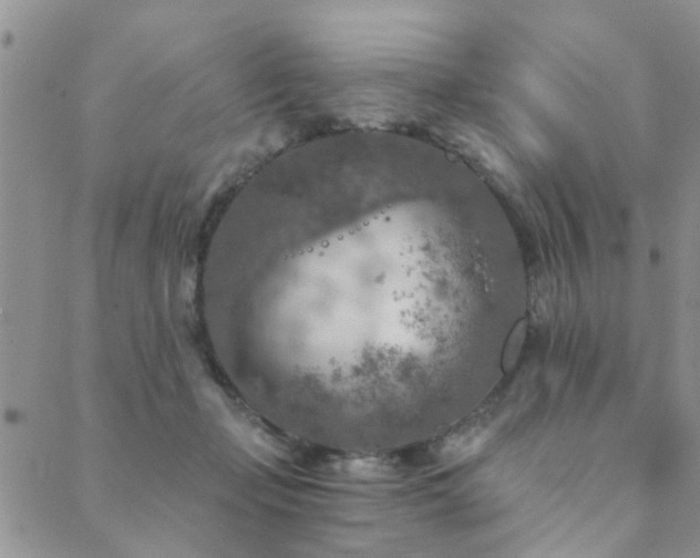 X0000089700365200706211324