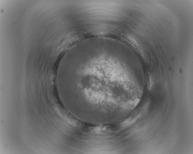 X0000089700366200706211324