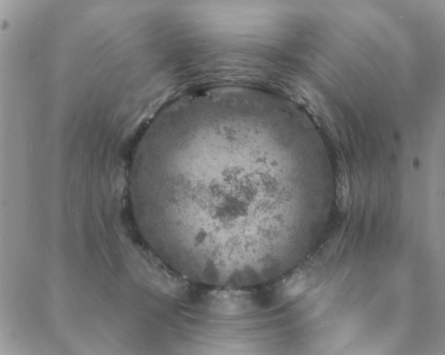 X0000089700367200706211324