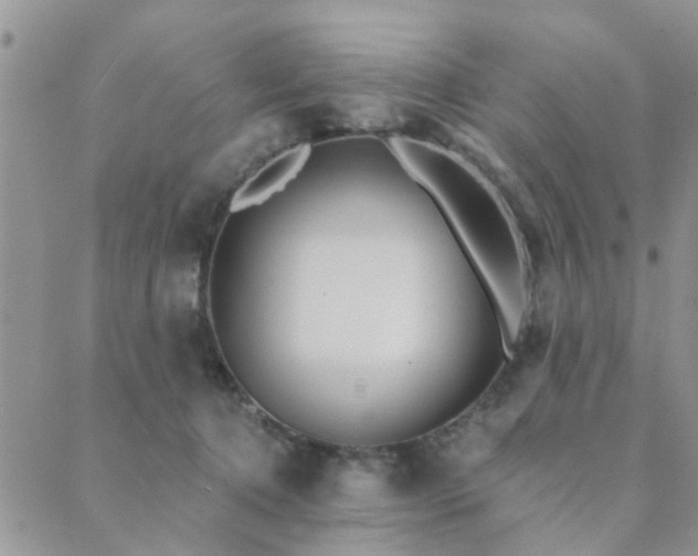 X0000089700368200706211324