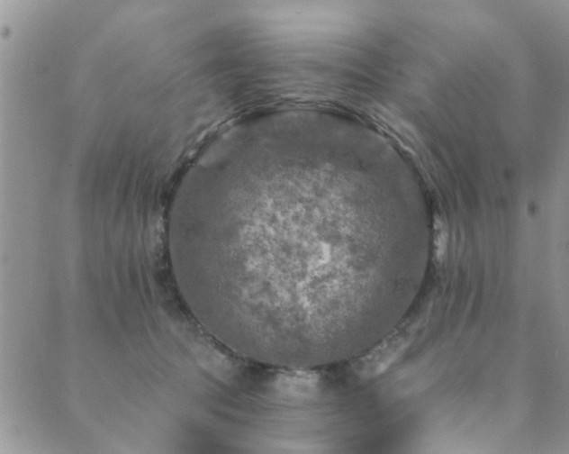 X0000089700369200706211324