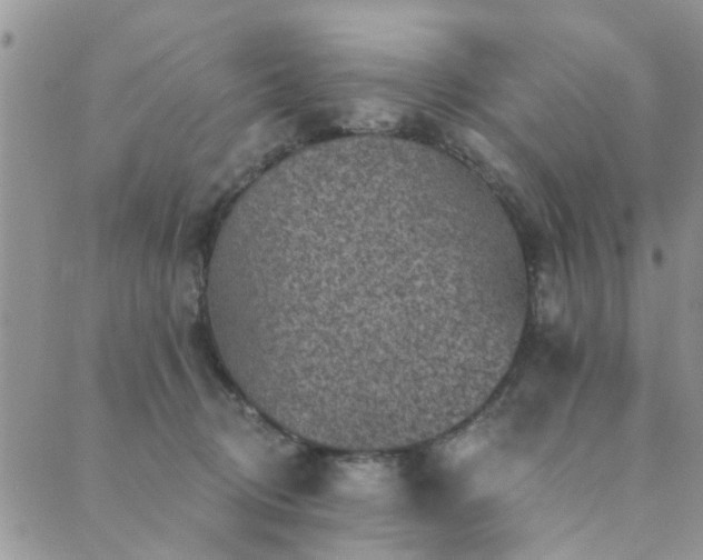 X0000089700370200706211324