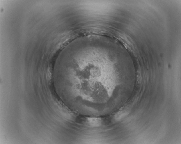 X0000089700371200706211324