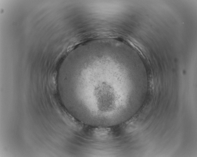 X0000089700373200706211324