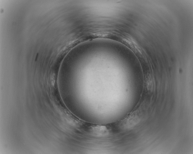 X0000089700374200706211324