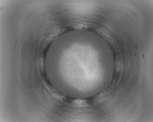 X0000089700375200706211324