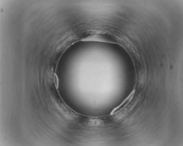 X0000089700376200706211324