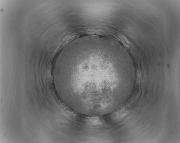 X0000089700377200706211324