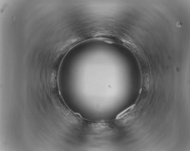 X0000089700378200706211324