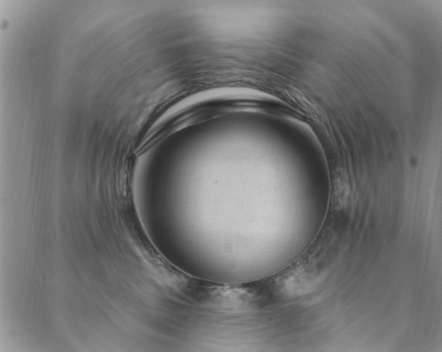 X0000089700379200706211324