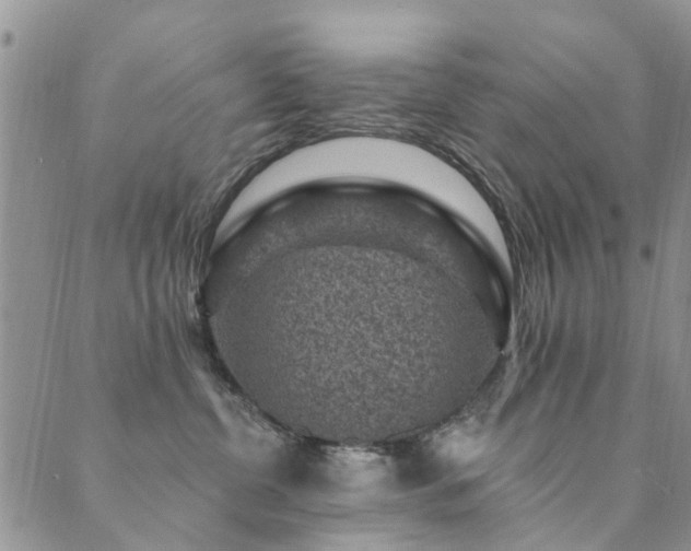 X0000089700380200706211324