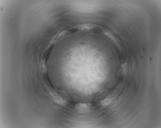 X0000089700381200706211324