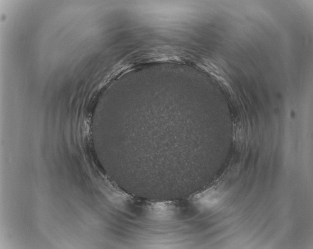 X0000089700382200706211324