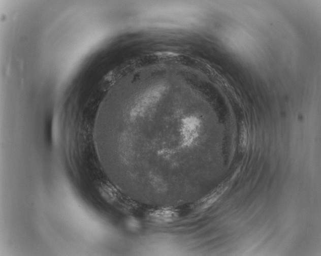 X0000089700383200706211324