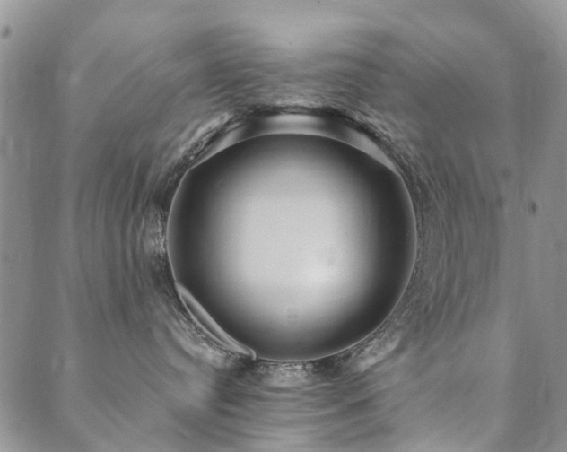 X0000089700384200706211324