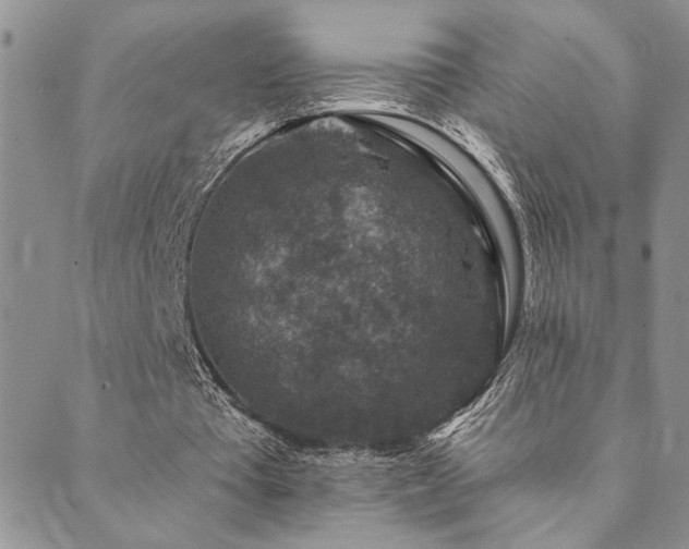 X0000089700385200706211323