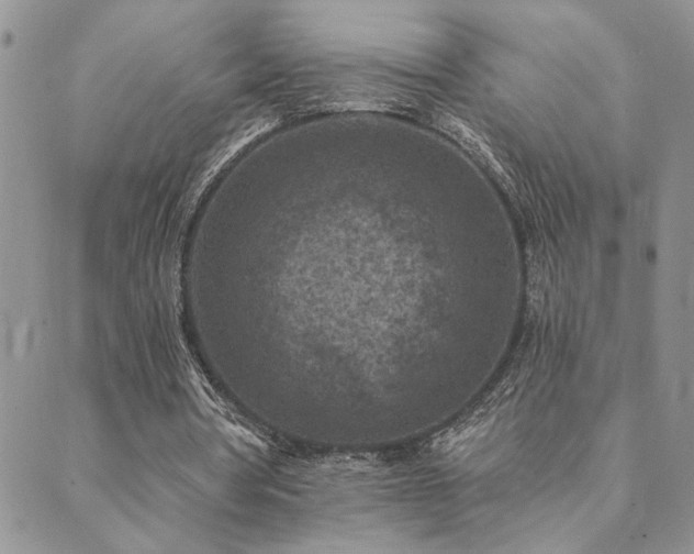 X0000089700386200706211323