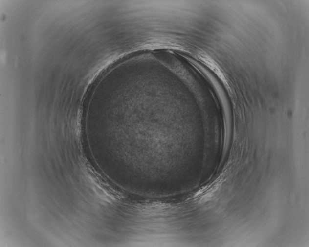 X0000089700387200706211323