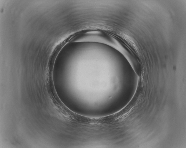 X0000089700388200706211323