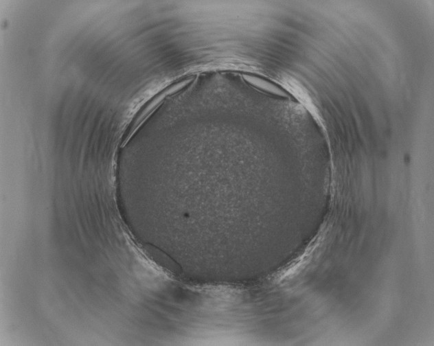 X0000089700389200706211323