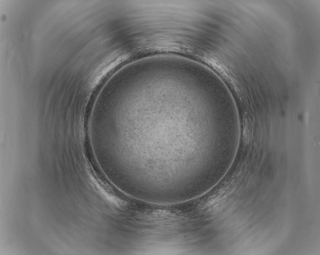 X0000089700390200706211323