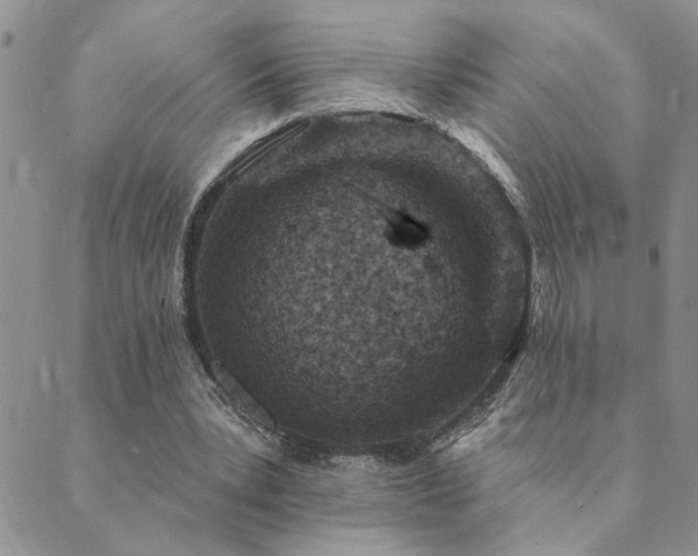 X0000089700391200706211323