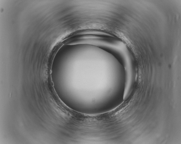 X0000089700392200706211323