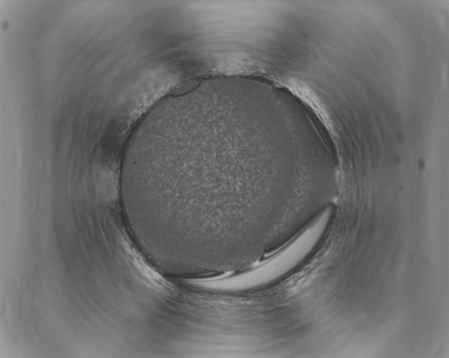 X0000089700393200706211323