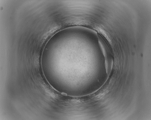 X0000089700394200706211323