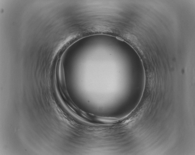 X0000089700395200706211323