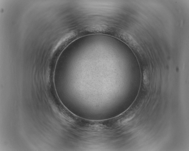 X0000089700396200706211323