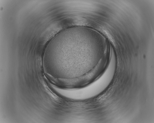 X0000089700397200706211323