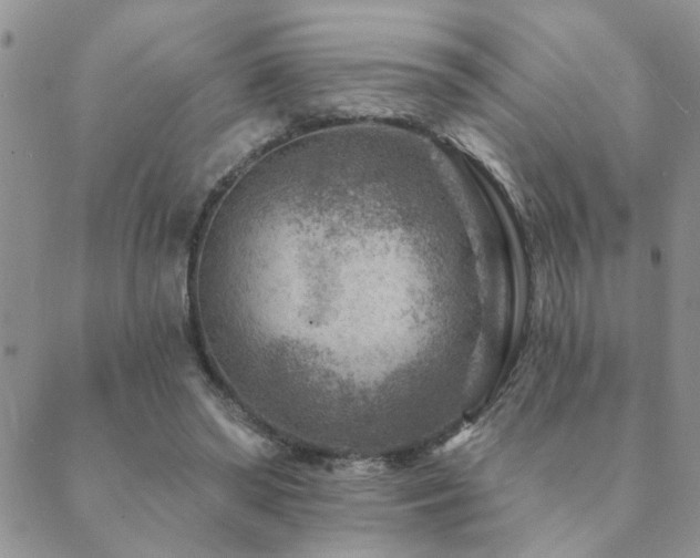 X0000089700398200706211323