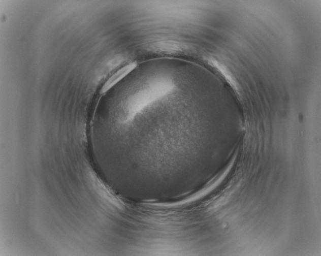 X0000089700399200706211323