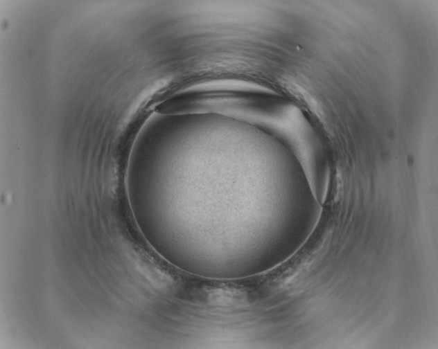 X0000089700400200706211323