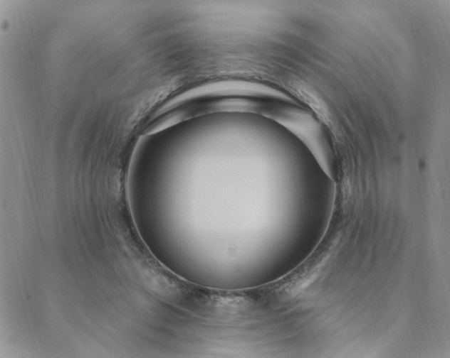 X0000089700401200706211323