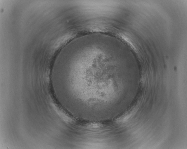 X0000089700402200706211323