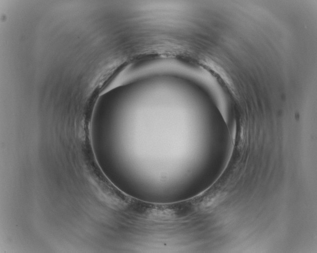 X0000089700403200706211323