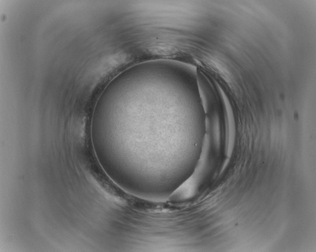 X0000089700404200706211323