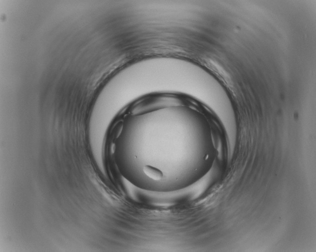 X0000089700405200706211323