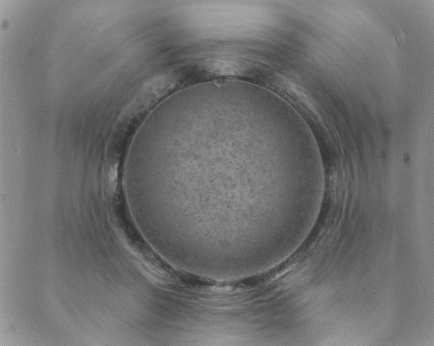 X0000089700406200706211323