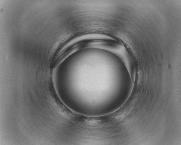 X0000089700407200706211323