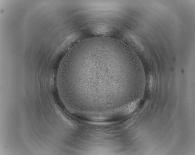 X0000089700408200706211323