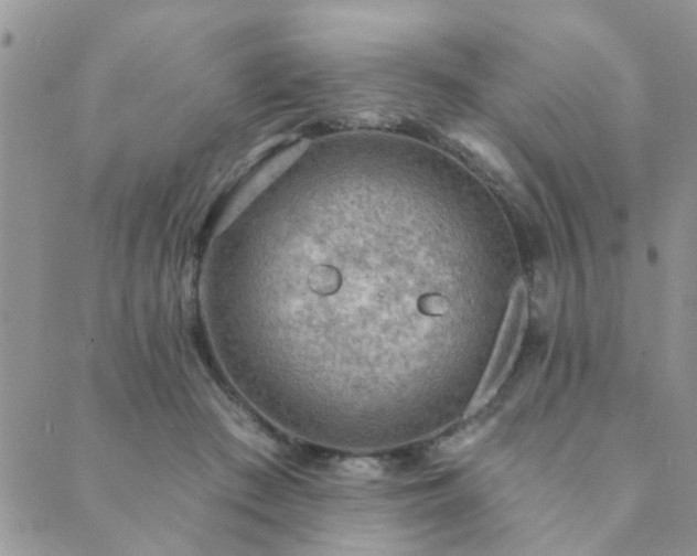 X0000089700409200706211323