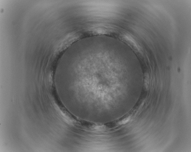 X0000089700410200706211323