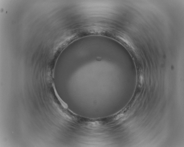 X0000089700411200706211323