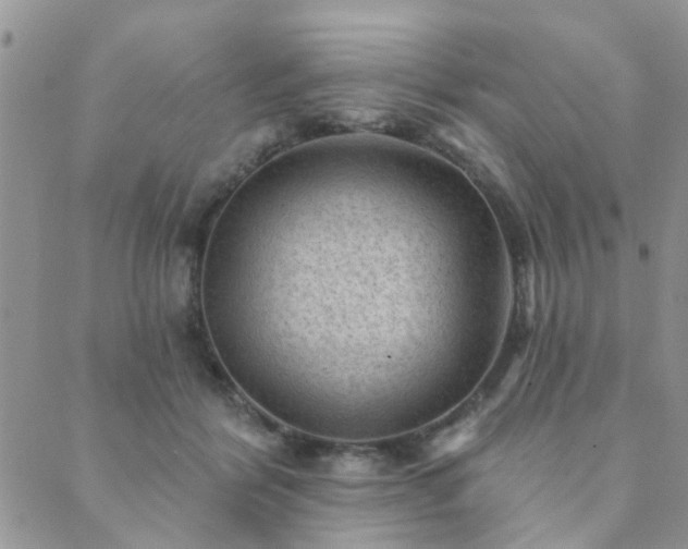 X0000089700412200706211323