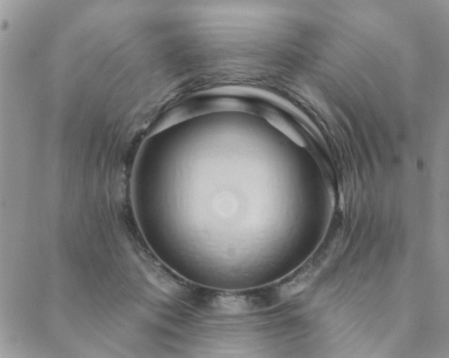 X0000089700413200706211323