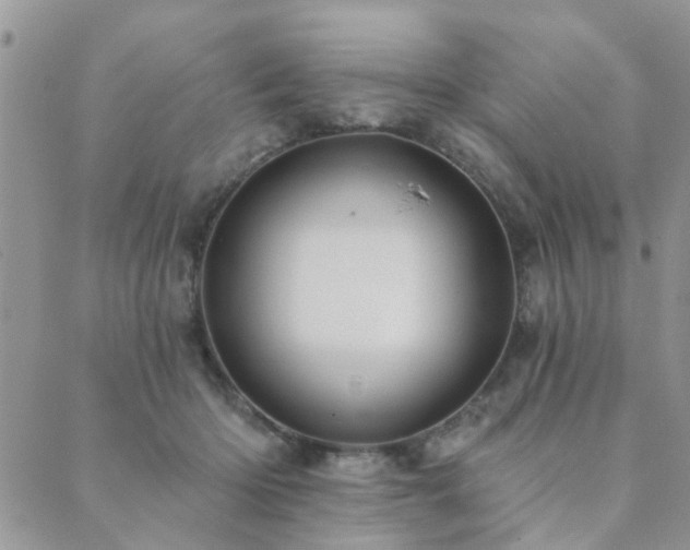 X0000089700414200706211323